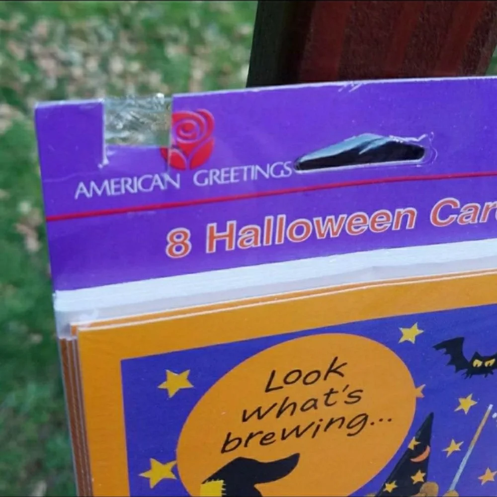 American Greetings Halloween Witch Teddy Invites: 8 Cards/Invites & 8 Envelopes